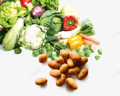 新鲜蔬菜土豆高清素材 赋能创意设计的免费资源宝库